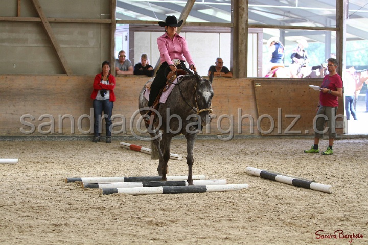 26-ApHC GT_152.jpg
